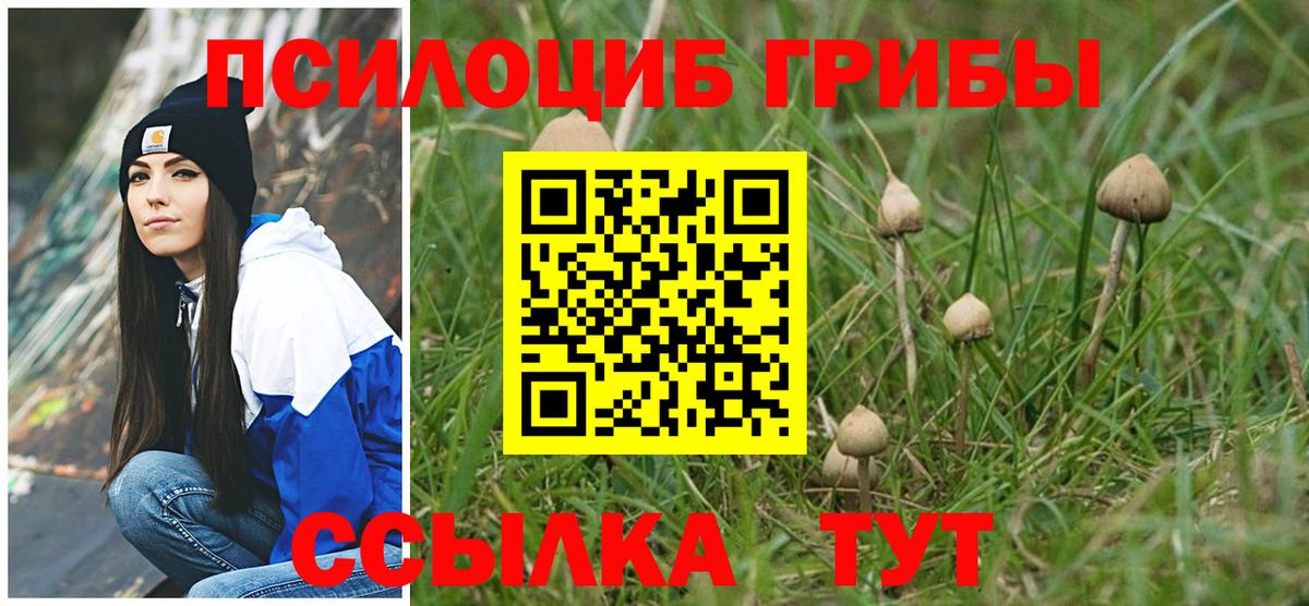 Отрадное  Псилоцибиновые грибы мицелий  Псилоцибиновые грибы мухоморы  Вход с VPN 